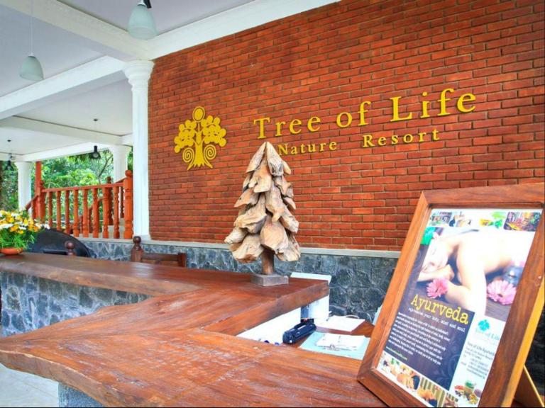 Image result for Tree of Life Nature Resort