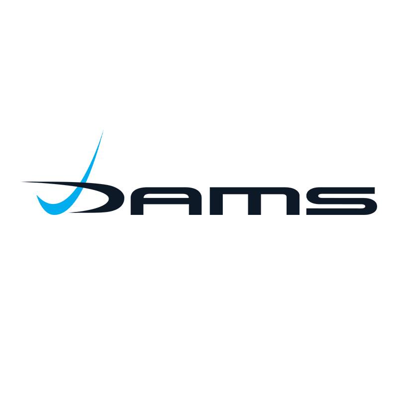 Image result for DAMS