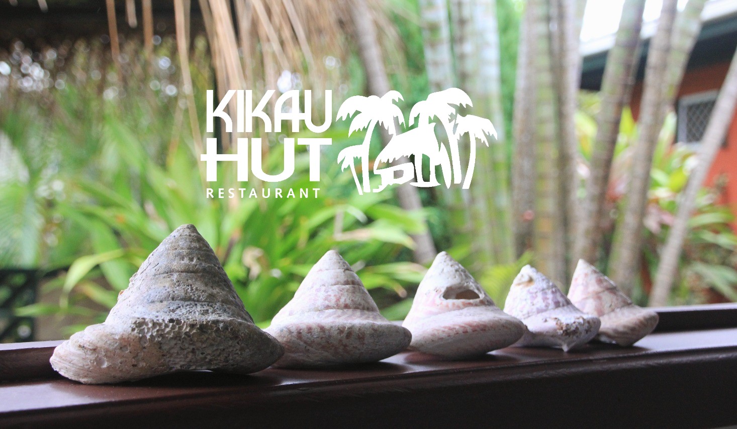 Image result for Kikau Hut