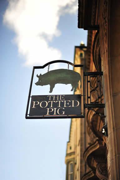 Image result for The Potted Pig