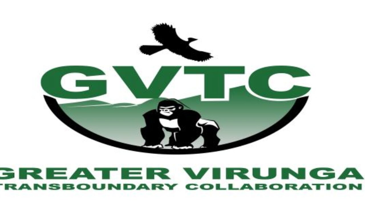 Image result for Greater Virunga Transboundary Collaboration (GVTC)