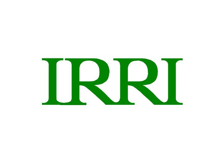 Image result for International Rice Research Institute (IRRI)