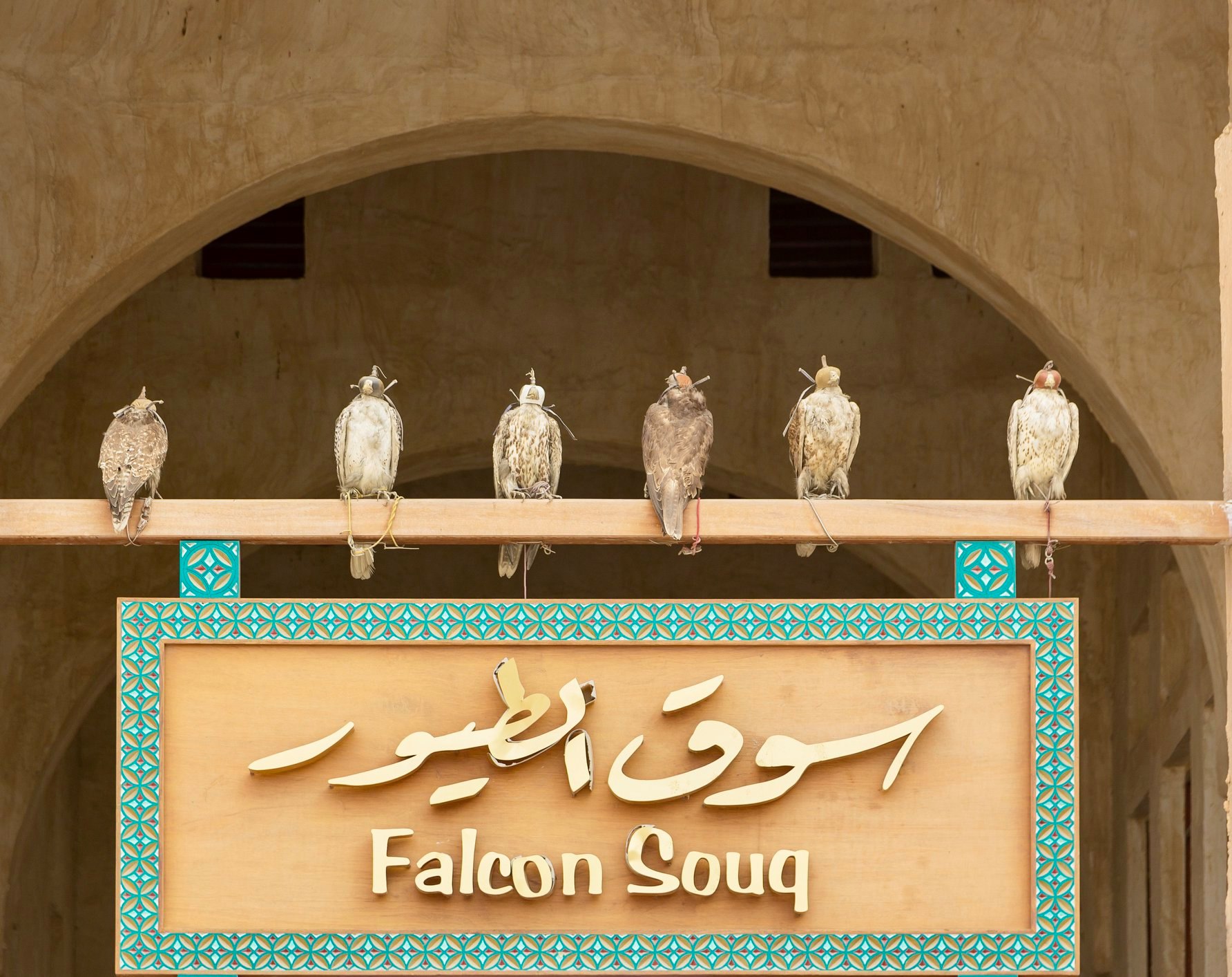 Image result for Falcon Souq