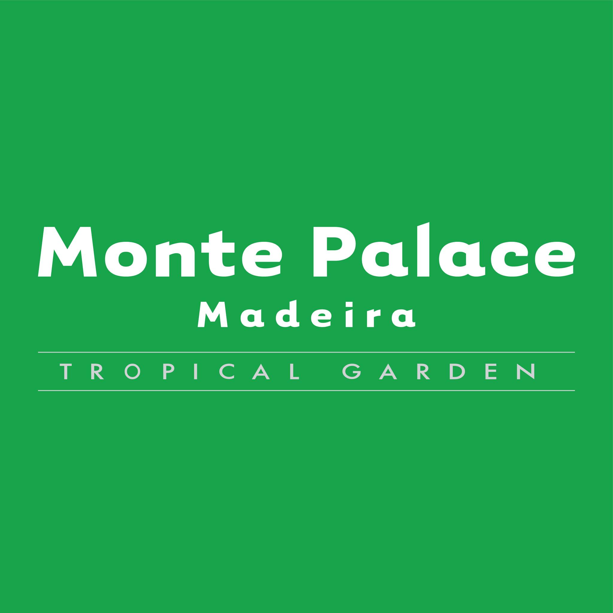 Image result for Monte Palace Madeira