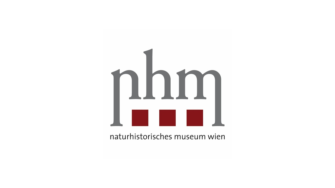 Image result for Natural History Museum Vienna