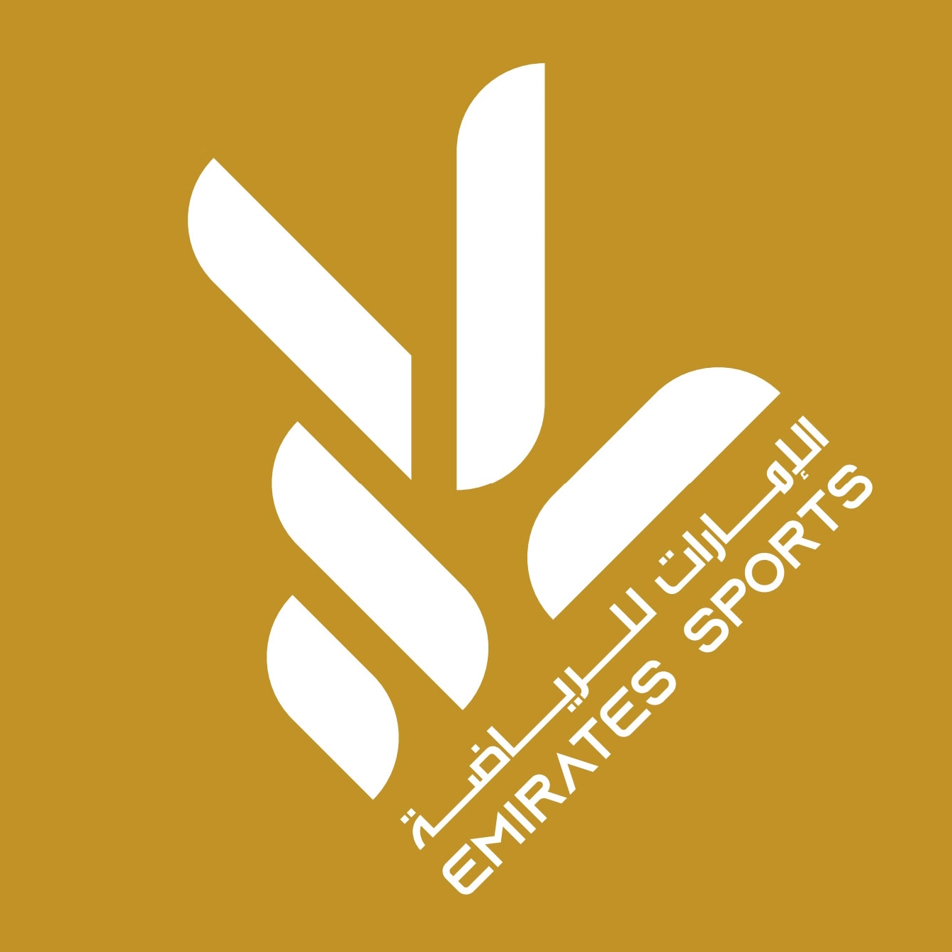 Image result for Emirates Sports Hotel