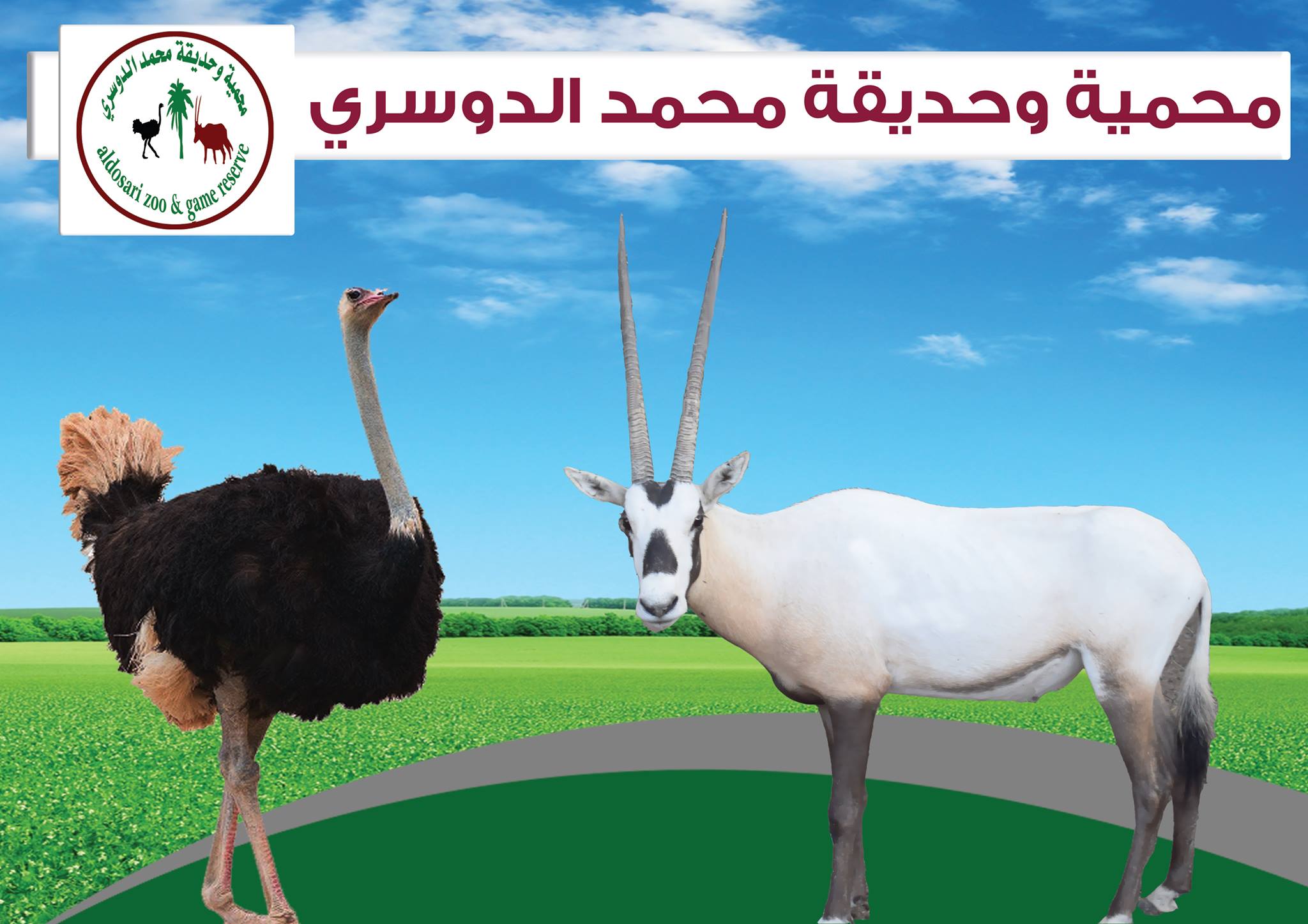 Image result for Al Dosari Zoo and Game Reservec