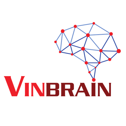 Image result for VinBrain