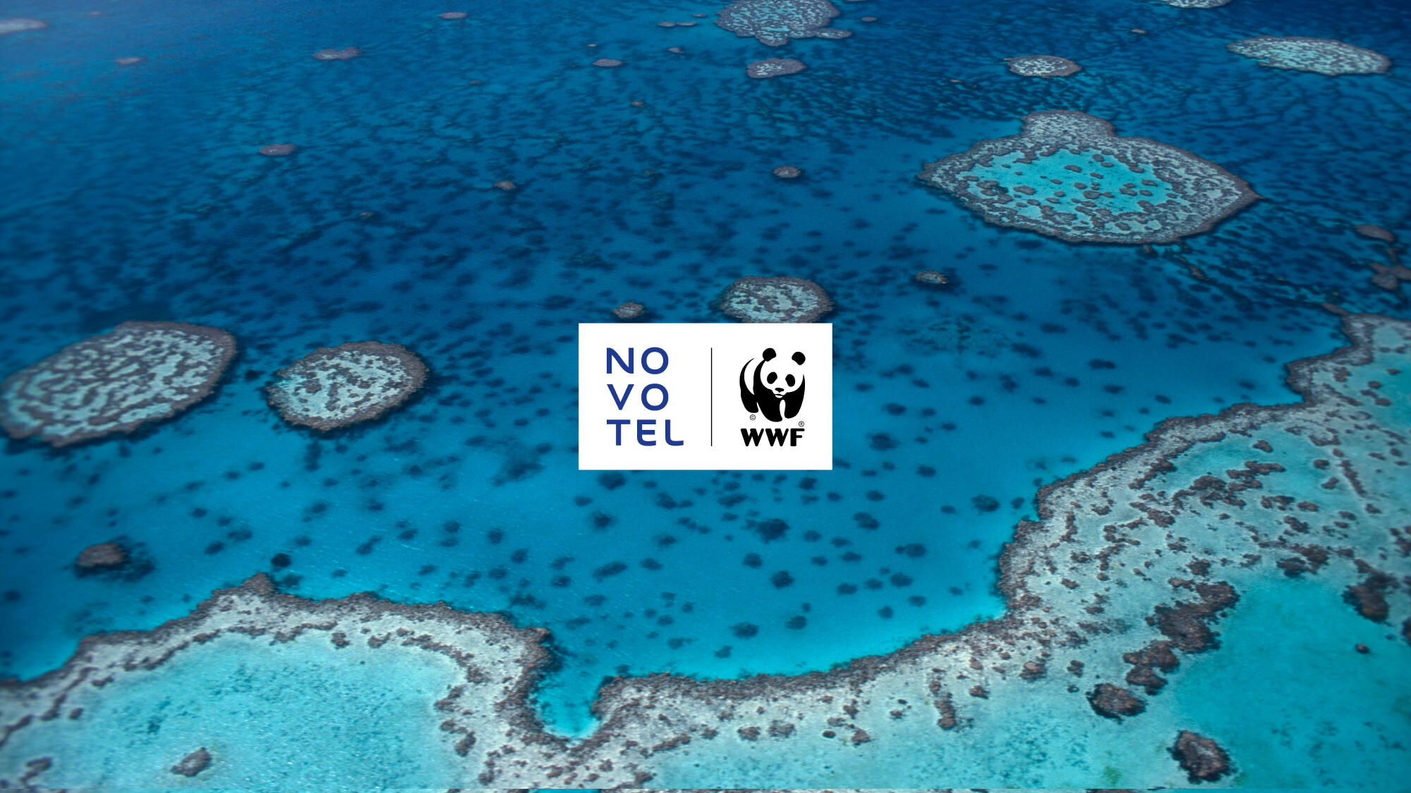 Image result for Novotel Oceans 2025
