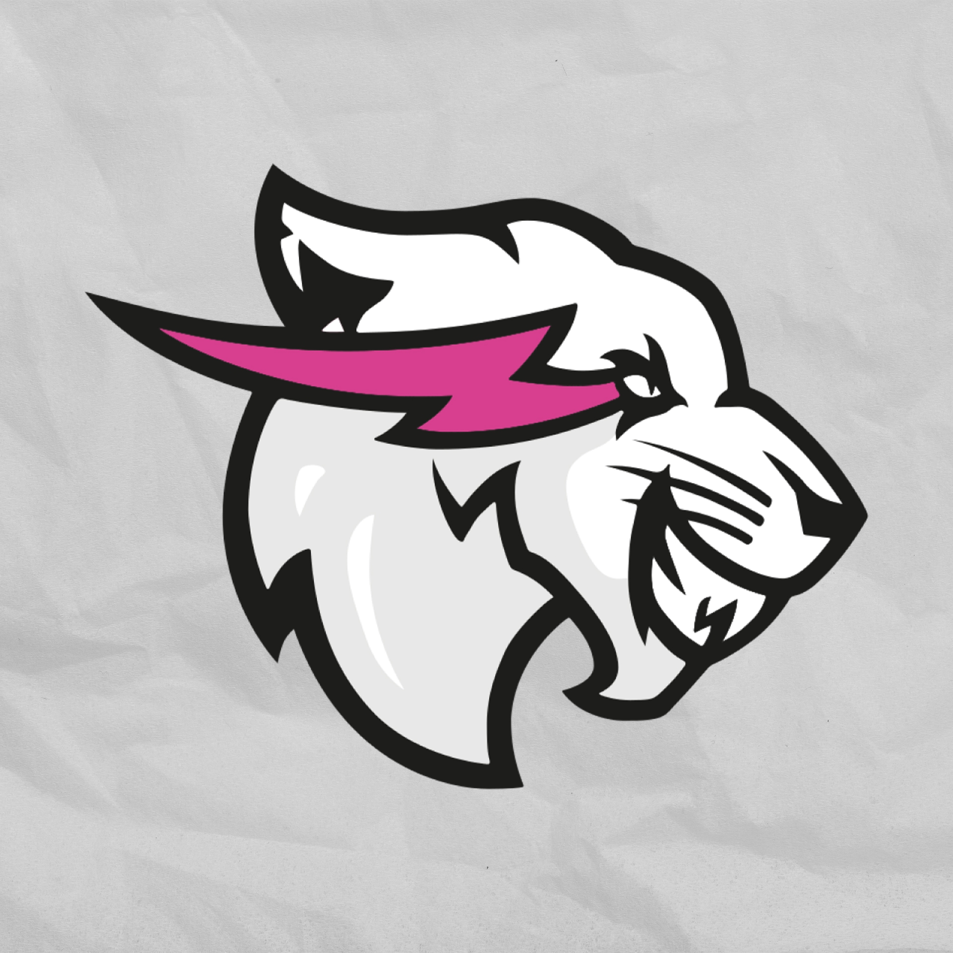 Image result for Beast Philanthropy