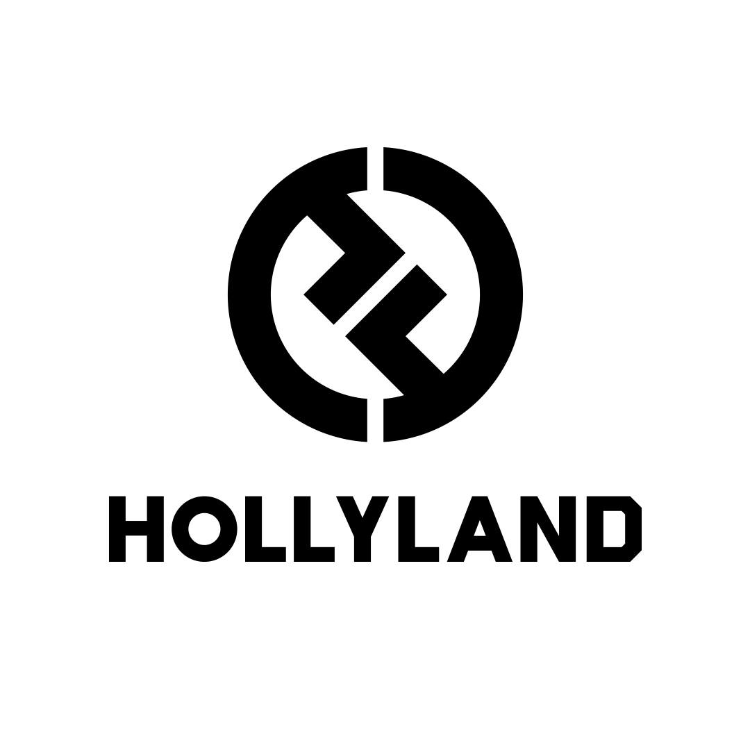 Image result for Hollyland