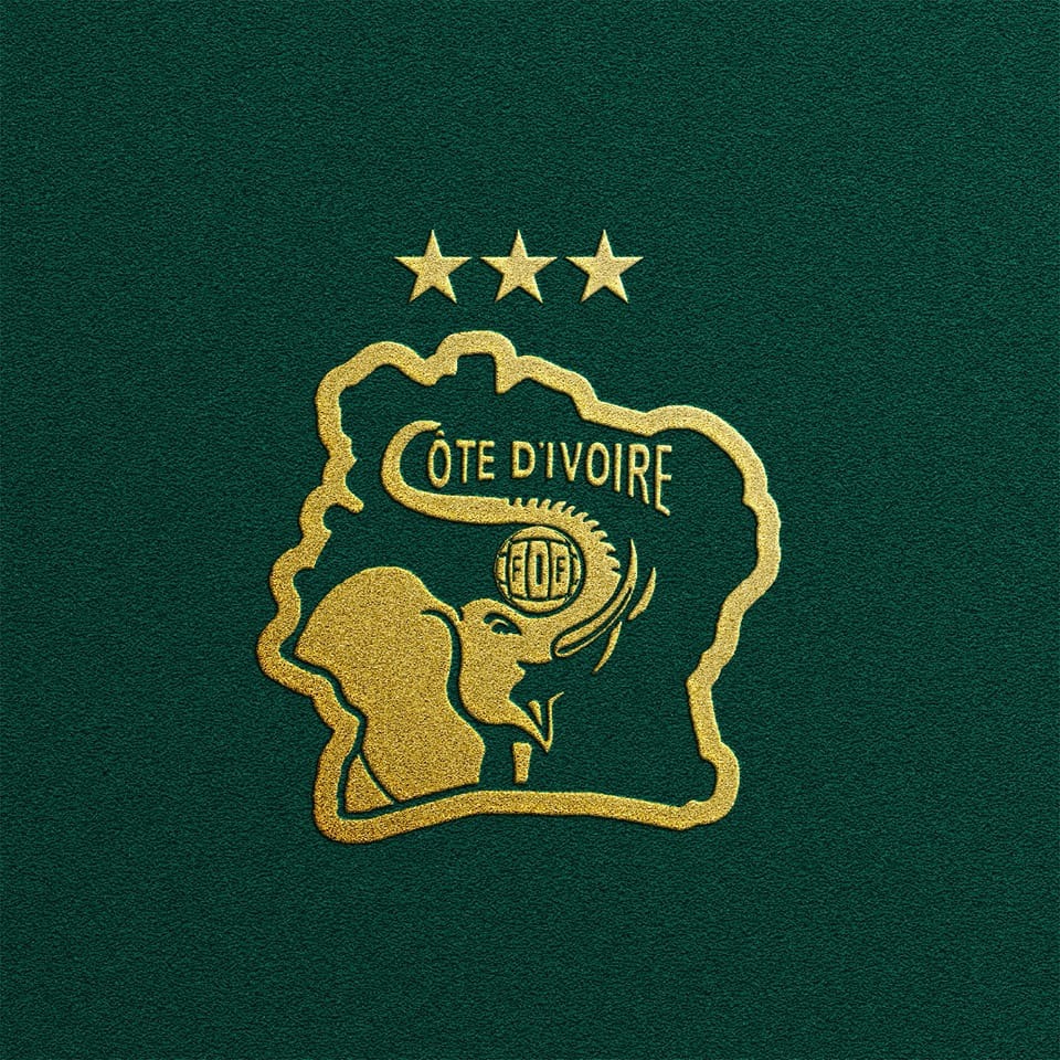 Image result for Ivorian Football Federation 