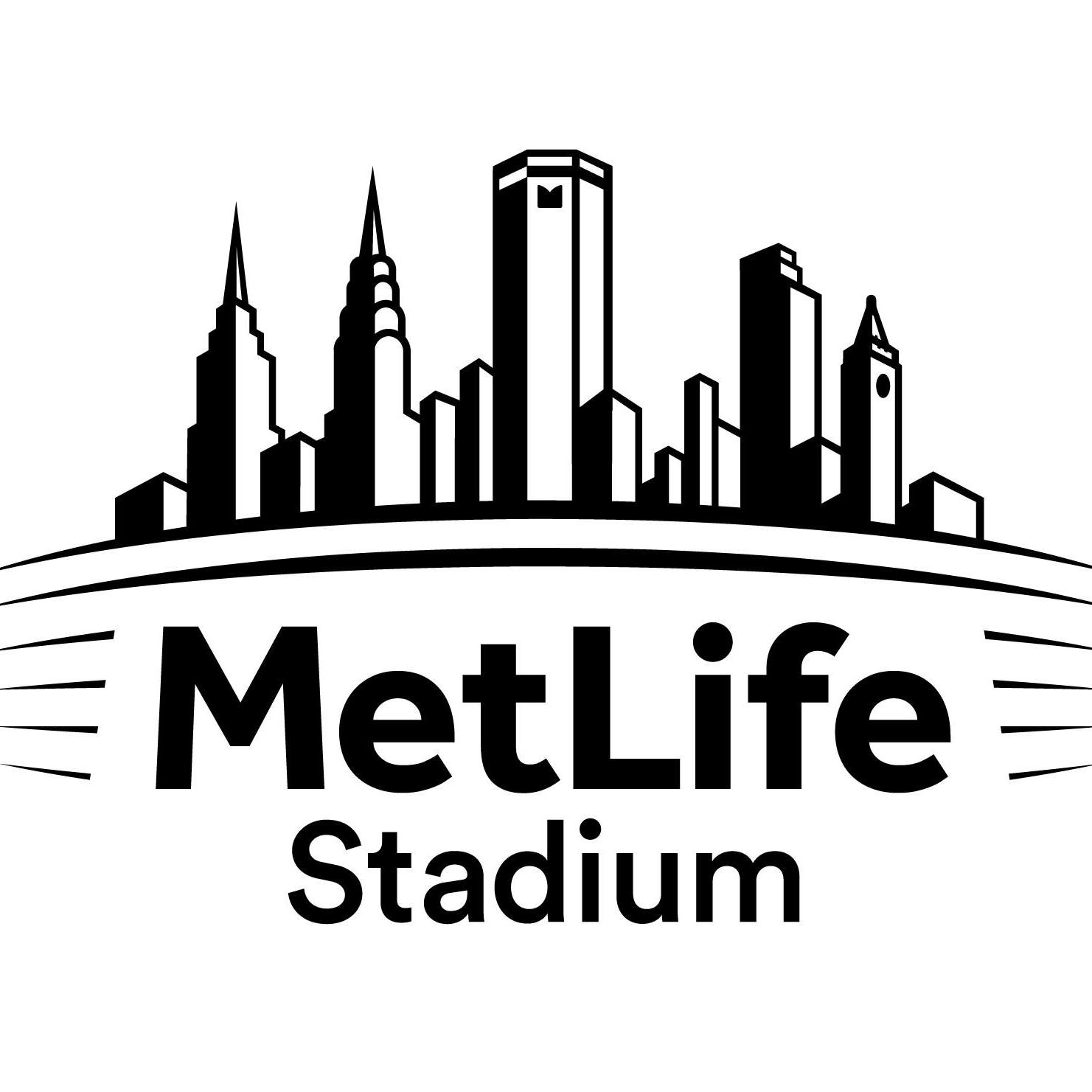 Image result for MetLife Stadium