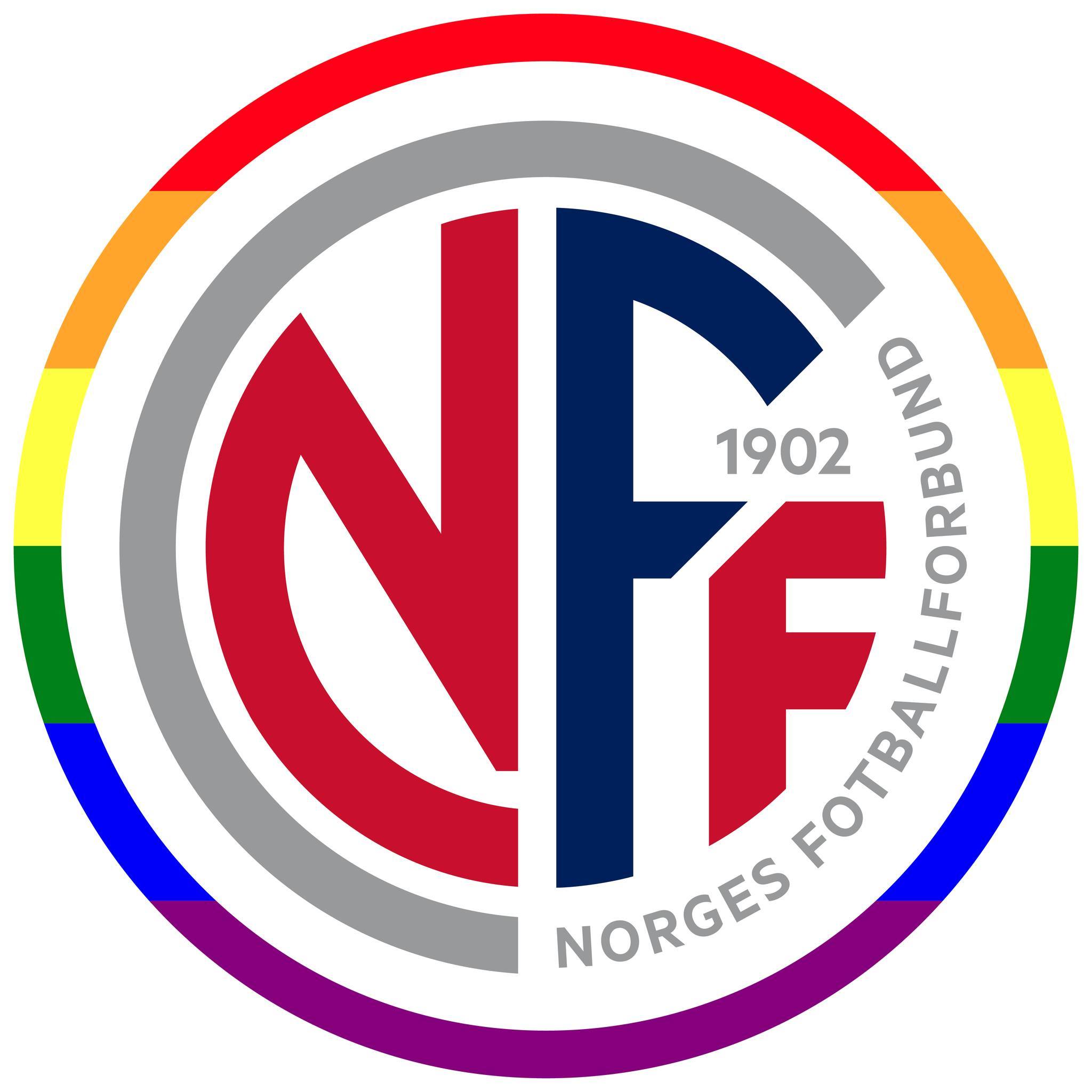 Image result for Norwegian Football Association