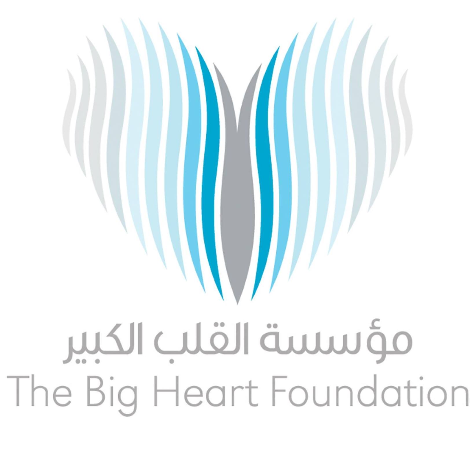 Image result for The Big Heart Foundation