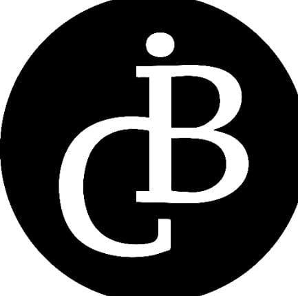 Image result for IBrandConnect