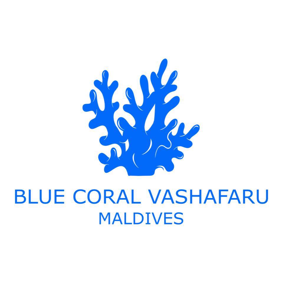 Image result for Blue Coral Vashafaru Maldives
