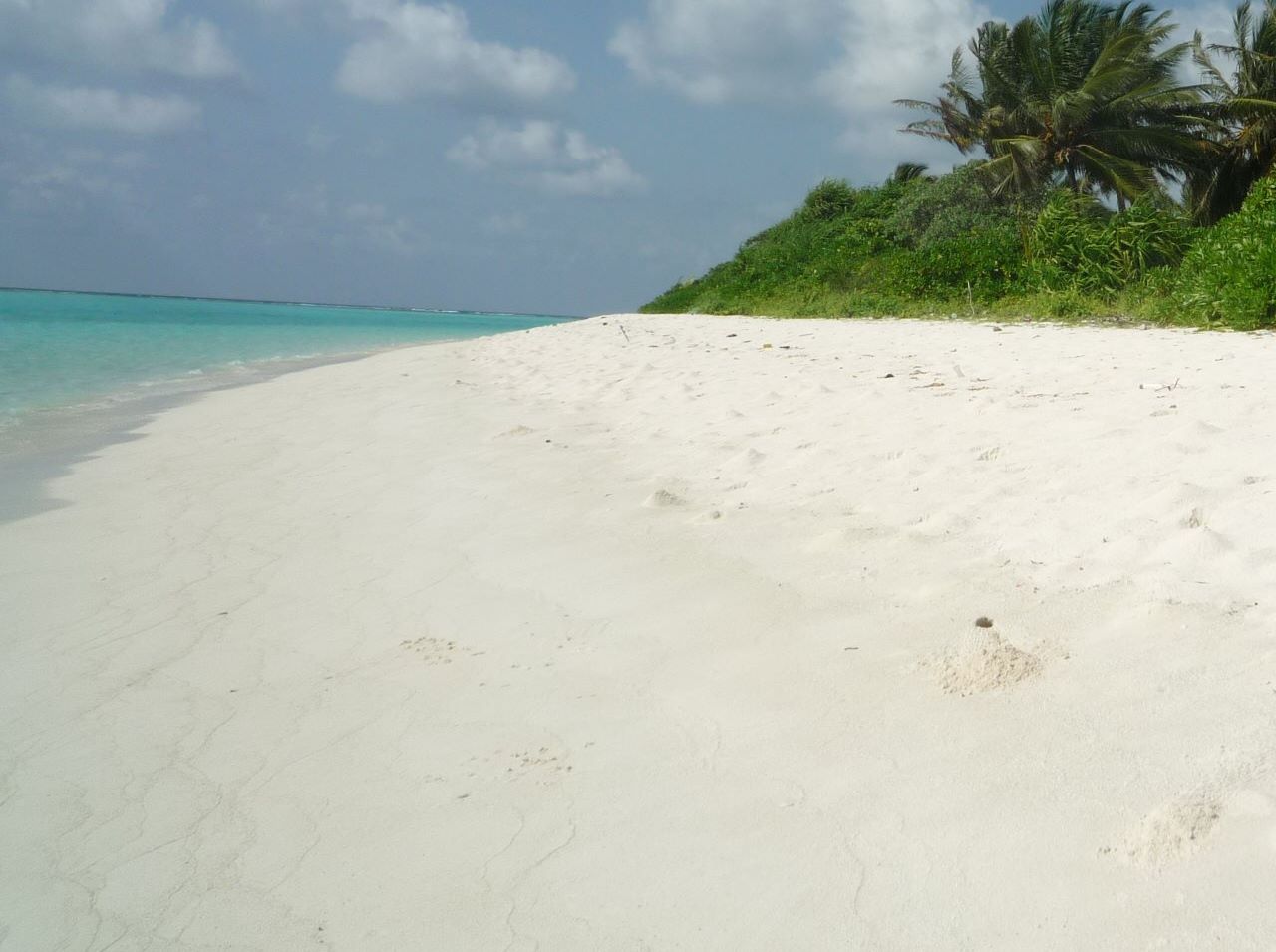 Image result for Thoddoo Inn