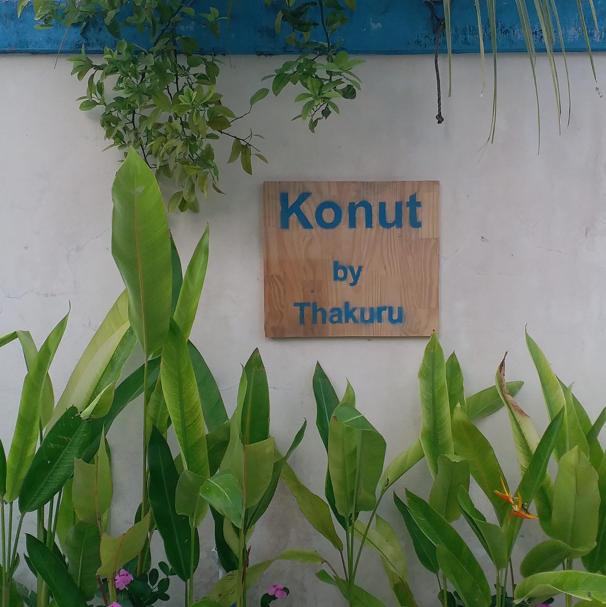 Image result for Konut by Thakuru