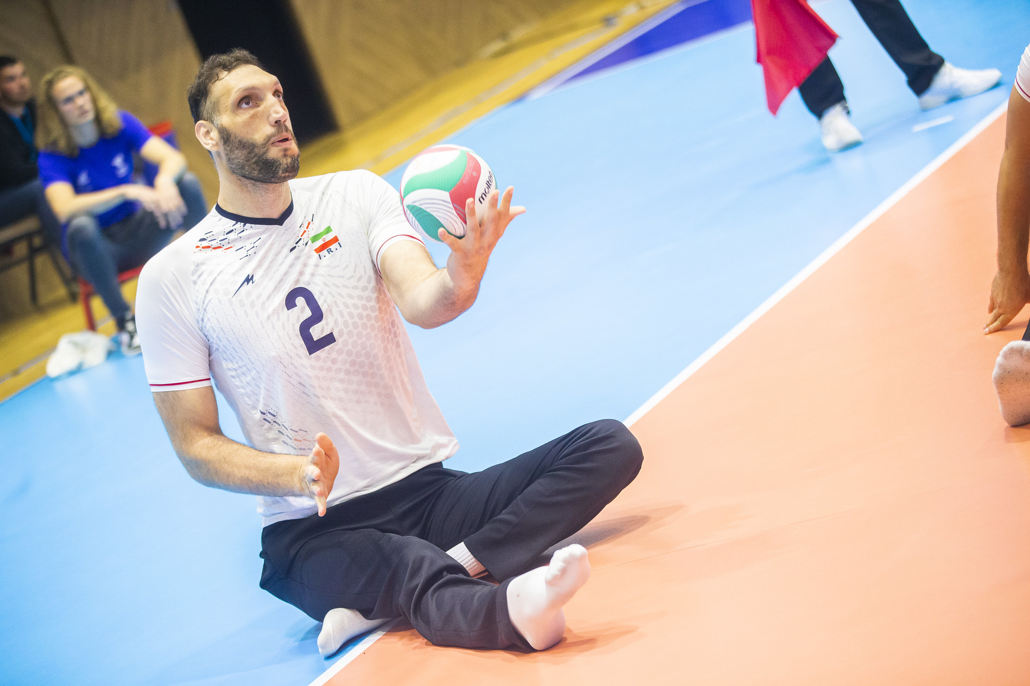 Image result for Morteza Mehrzad