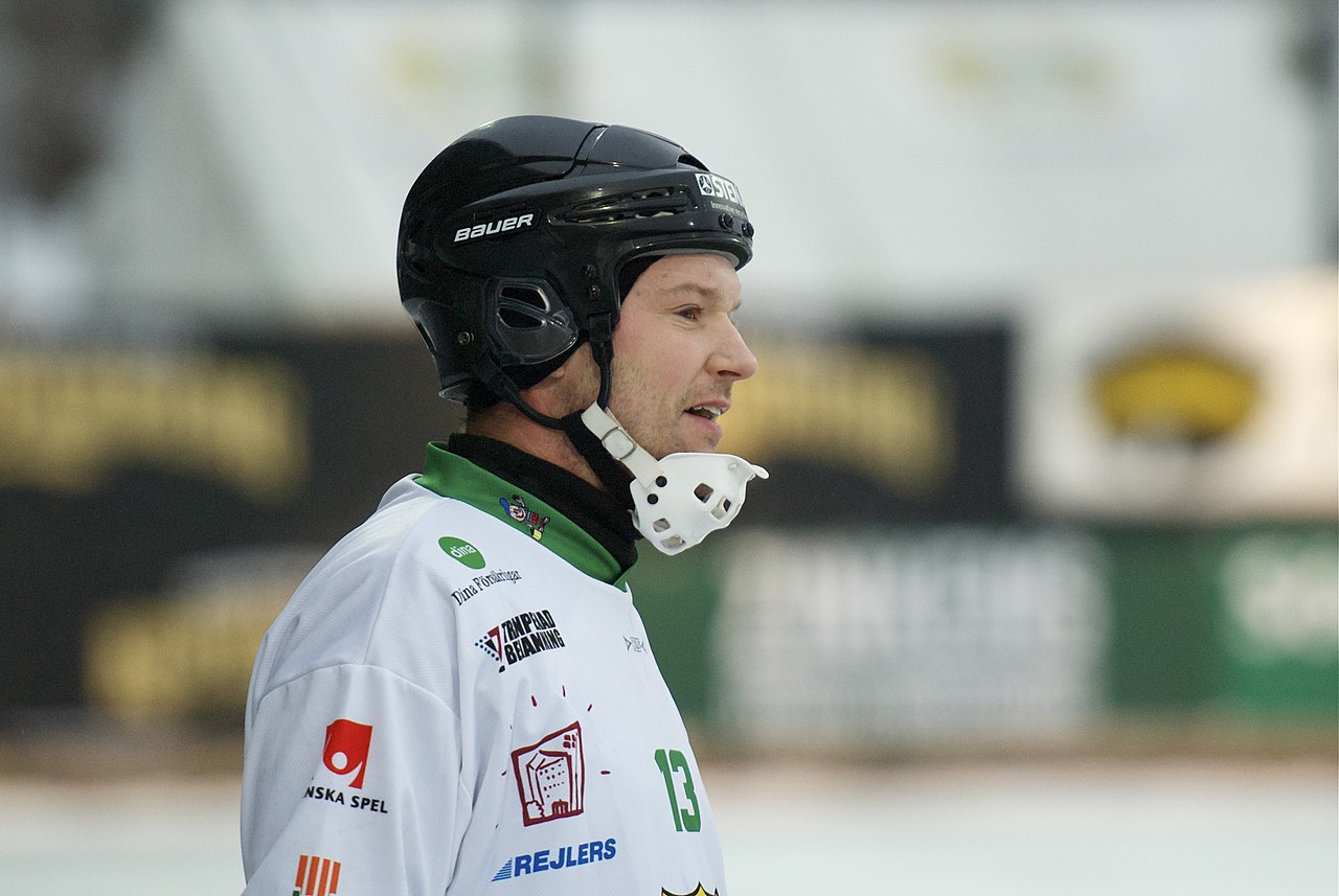 Image result for Magnus Muhrén