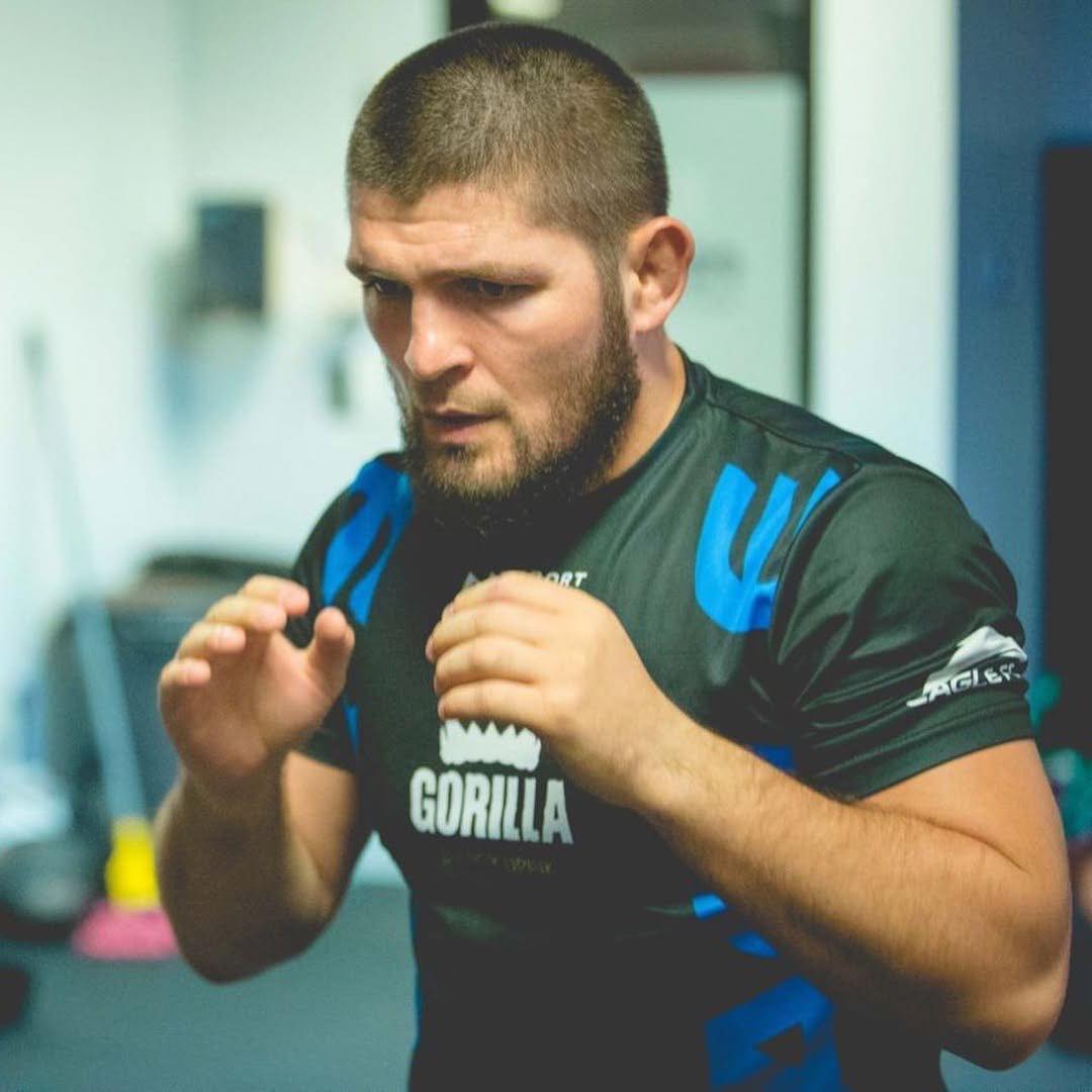 Image result for Khabib Nurmagomedov
