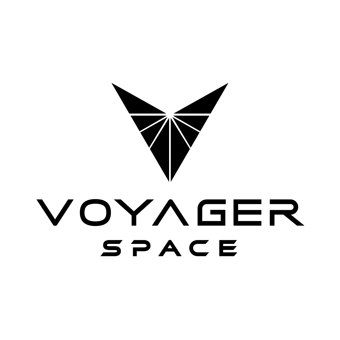 Image result for Voyager Space