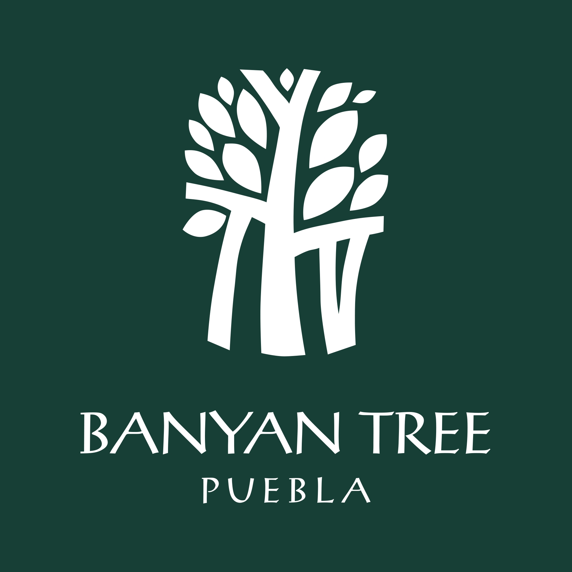 Image result for Banyan Tree Puebla
