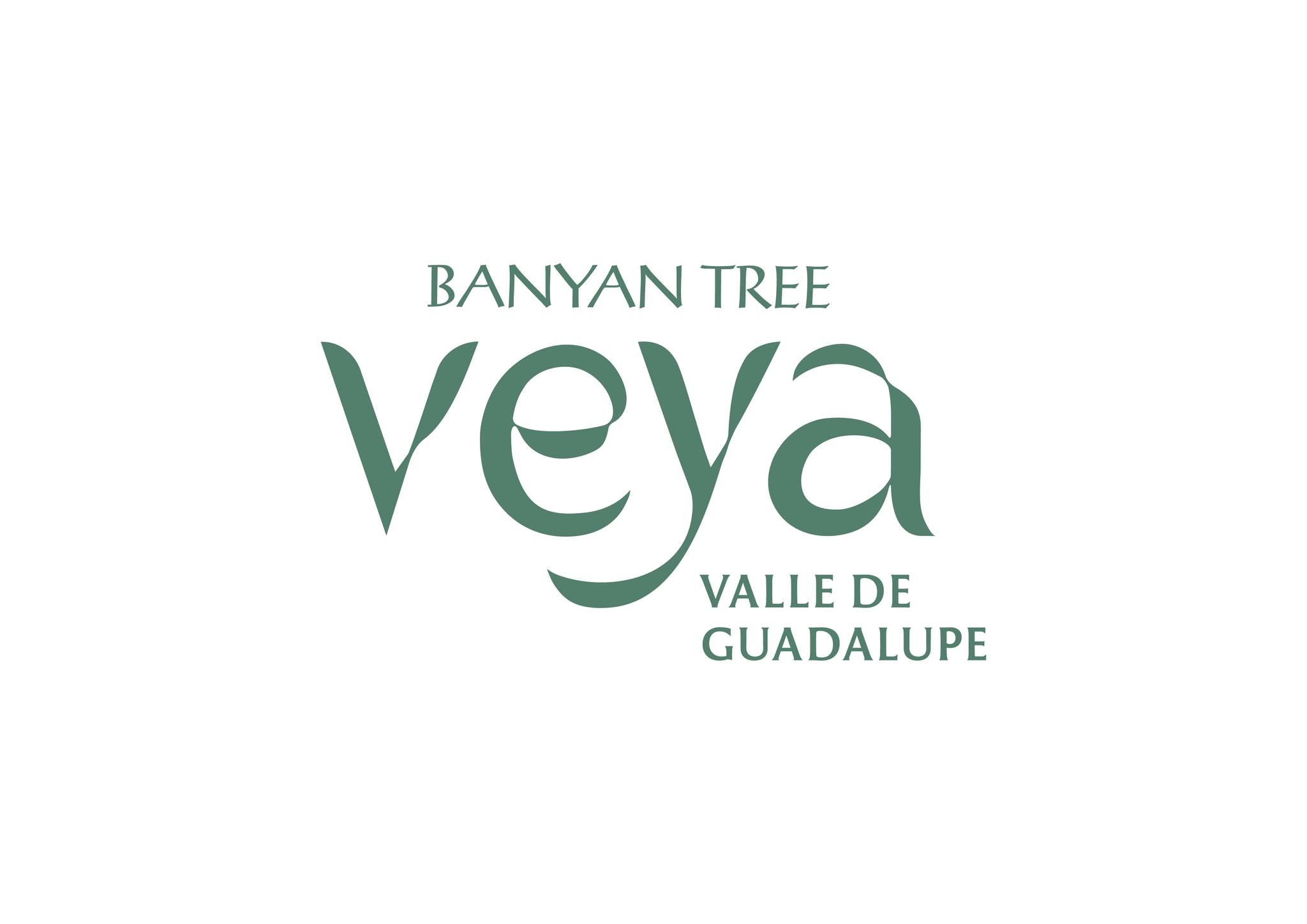 Image result for Banyan Tree Veya Valle de Guadalupe