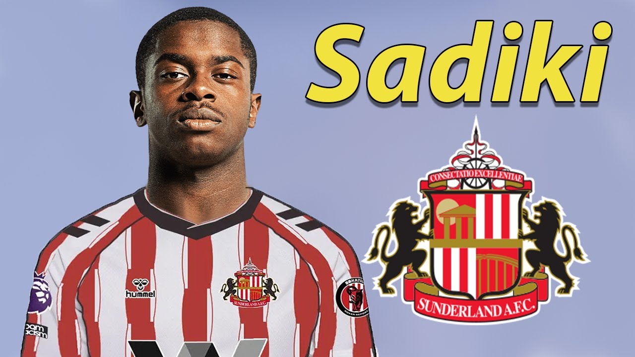 Image result for Noah Sadiki