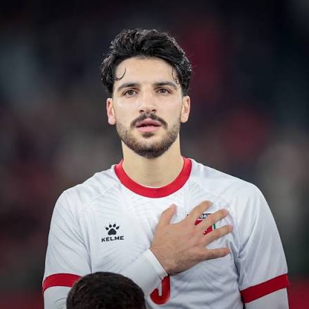 Image result for Hadi Al Hourani