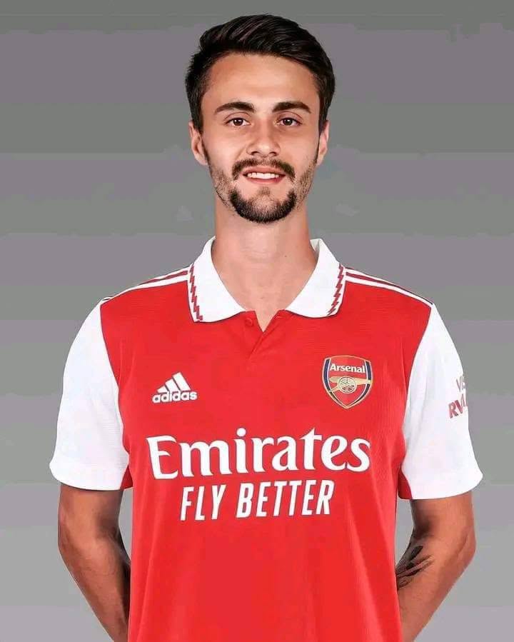 Image result for Fabio Vieira