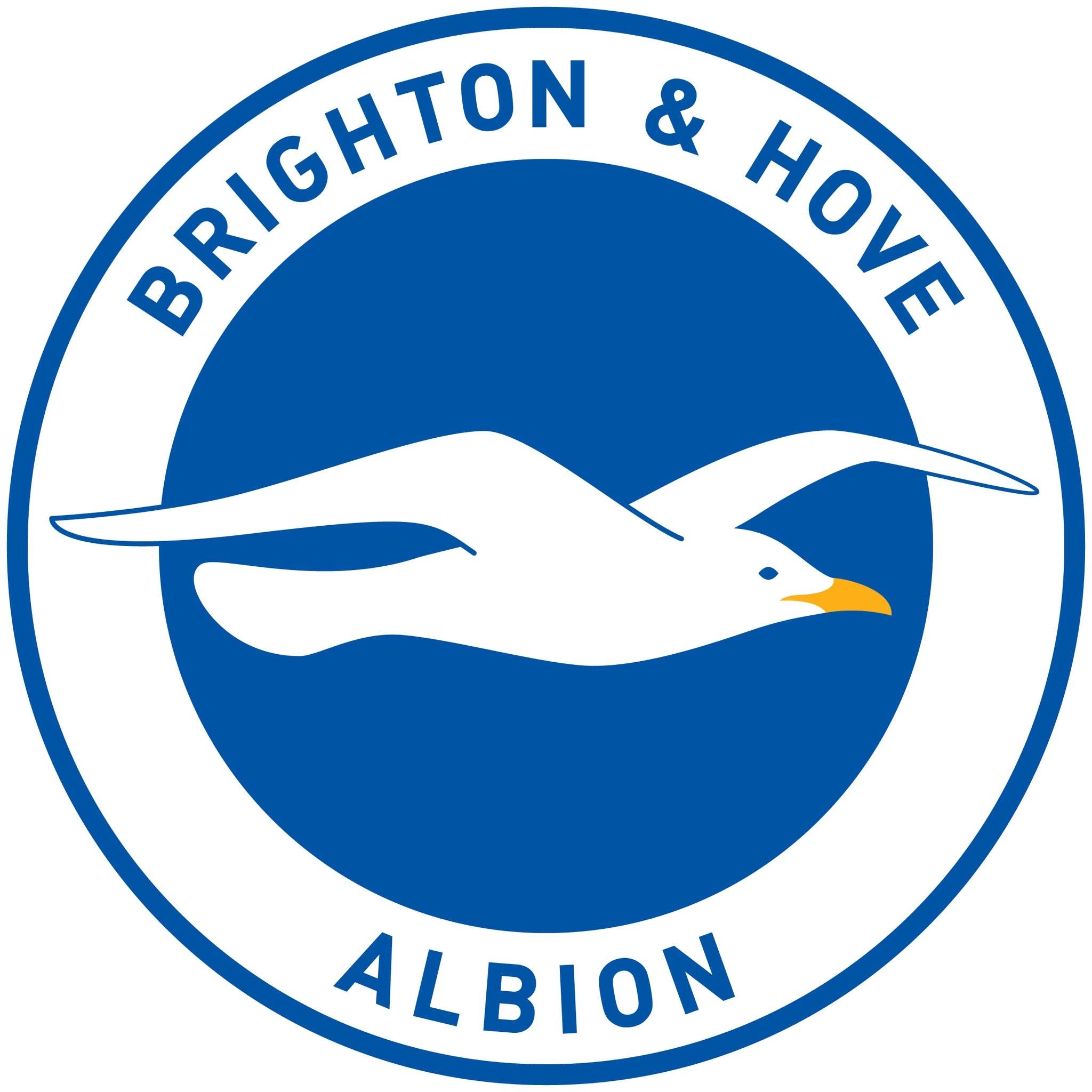 Image result for Brighton & Hove Albion FC