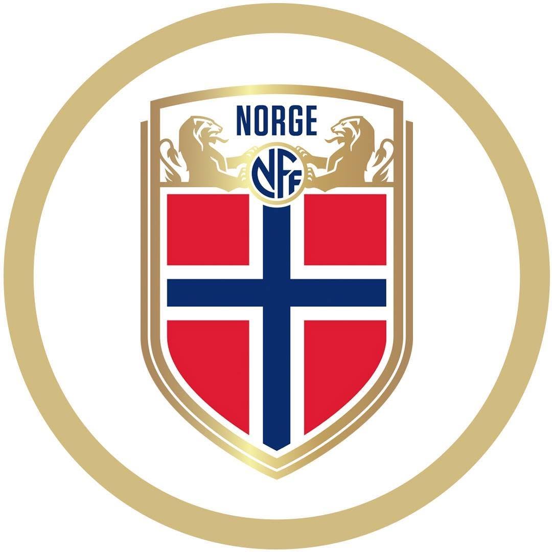 Image result for Norway National Football Team