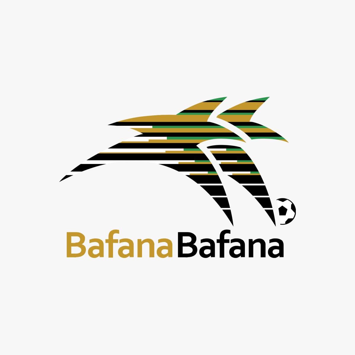 Image result for South Africa National Team