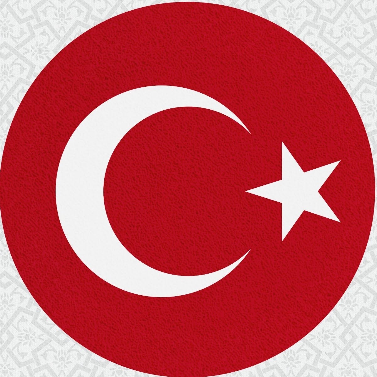 Image result for Turkish National Football Teams