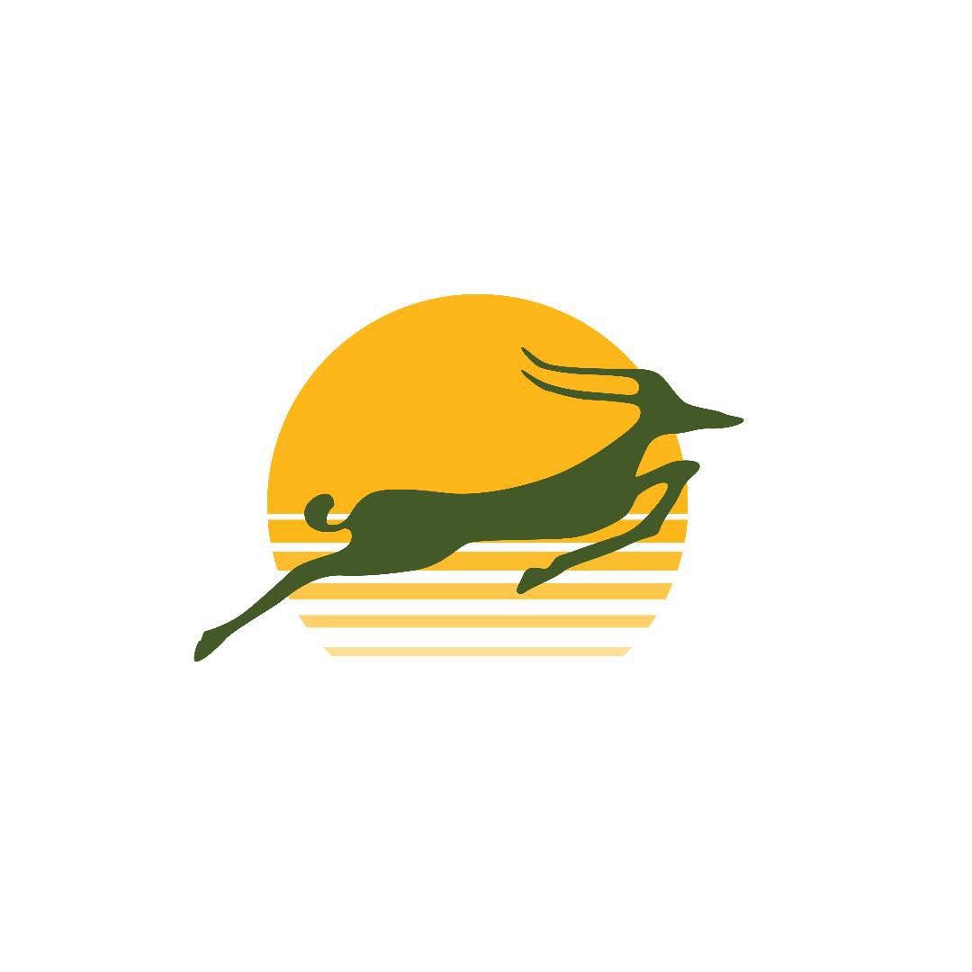 Image result for Precision Air