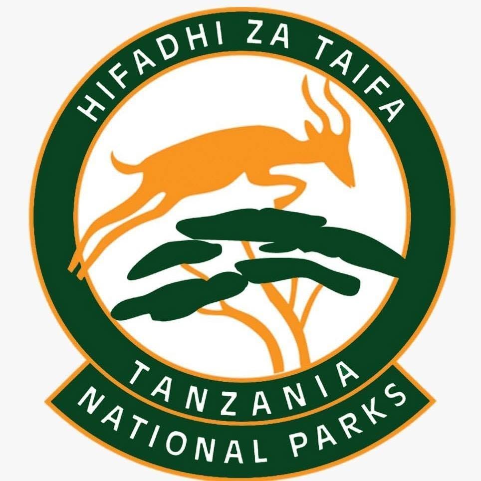Image result for Tarangire National Park, Tanzania