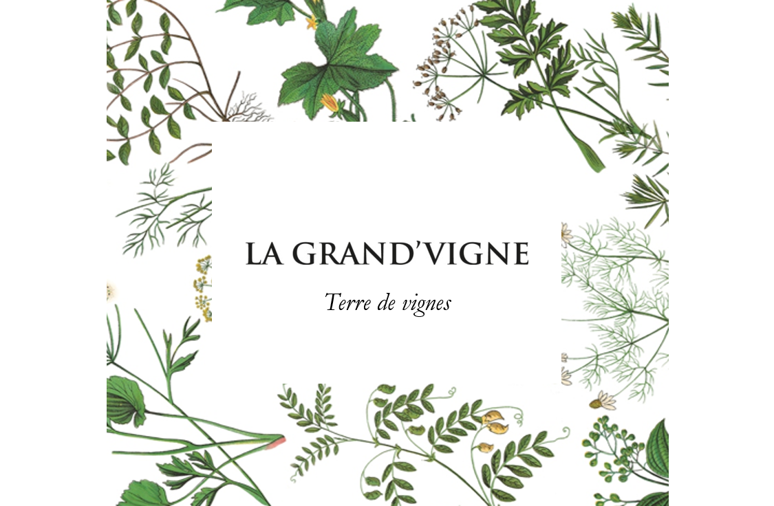 Image result for La Grand Vigne