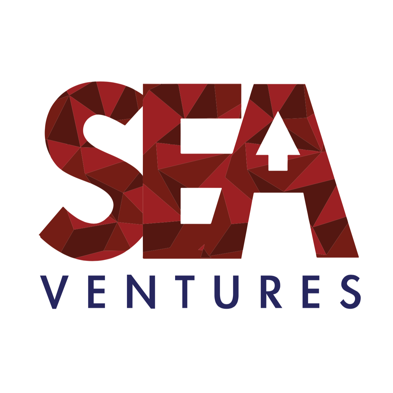 Image result for SEA Ventures