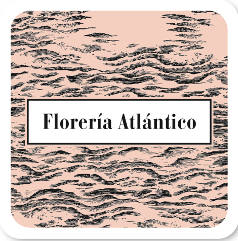 Image result for Floreria Atlantico