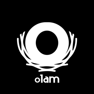 Image result for Olam Restaurante