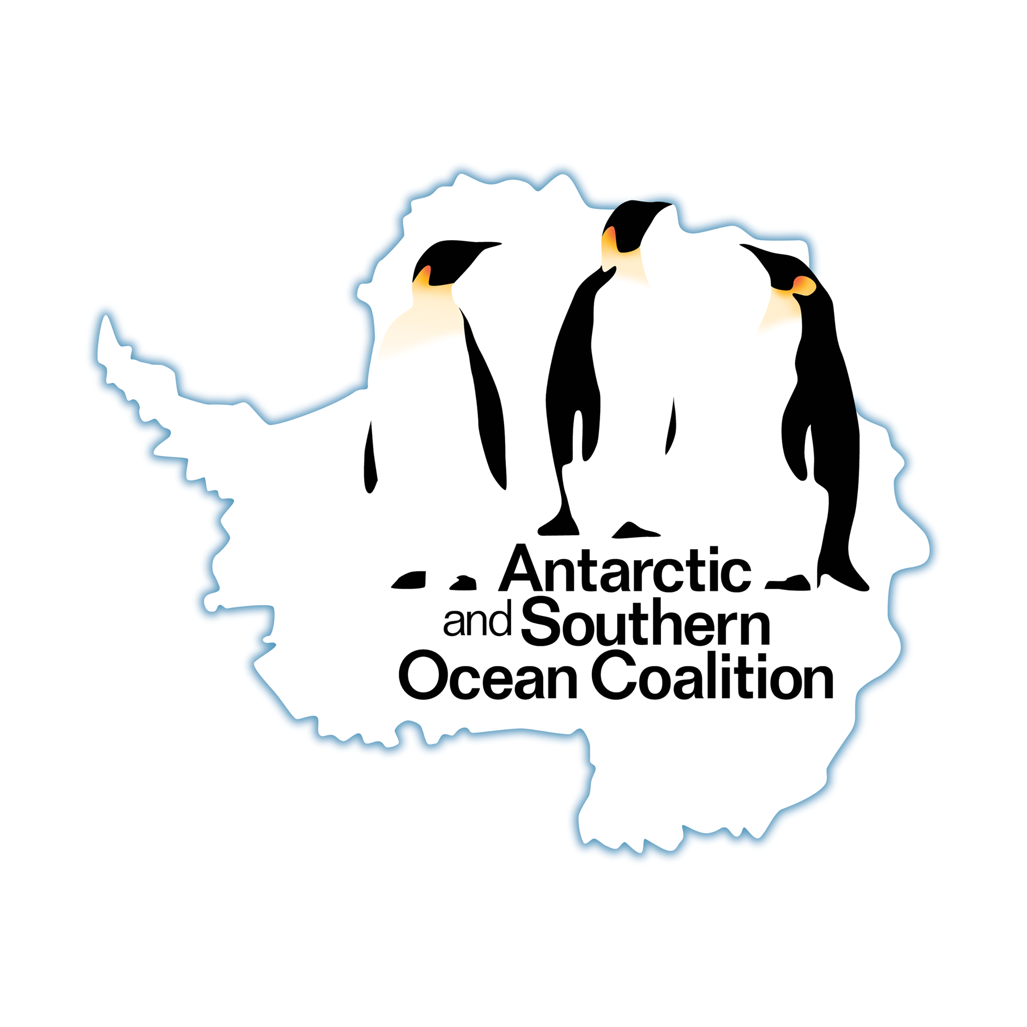 Image result for Antarctic and Southern Ocean Coalition