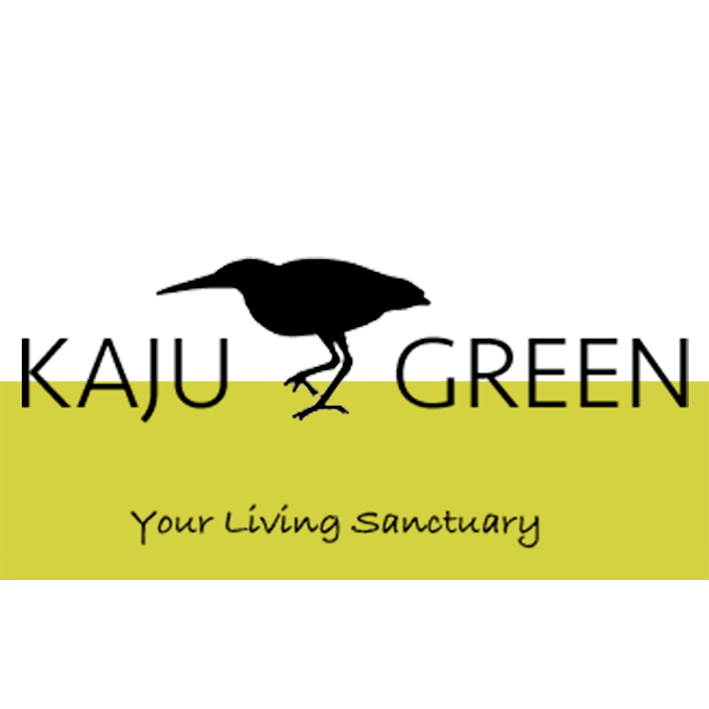 Image result for KAJU GREEN 