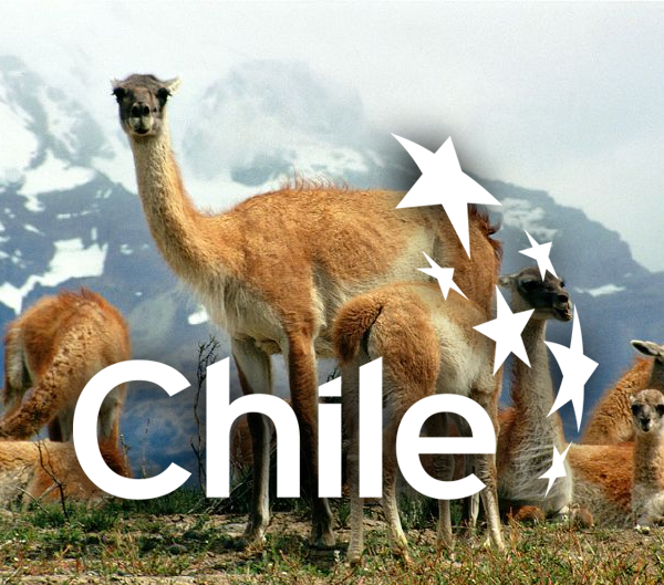 Image result for Chile (Chile Travel)