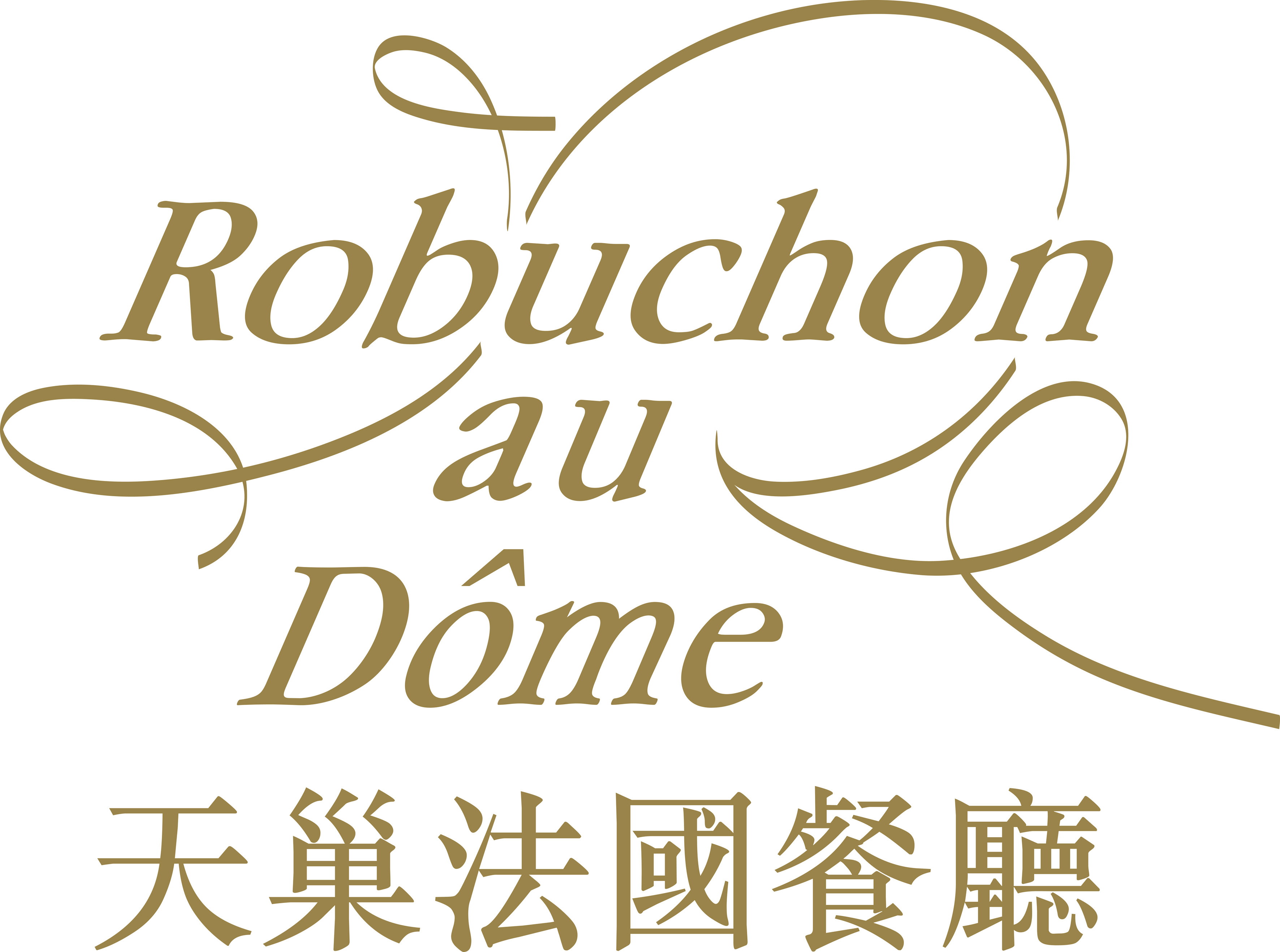 Image result for Robuchon au Dôme