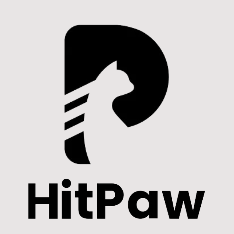 Image result for HitPaw
