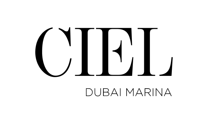 Image result for Ciel Dubai Marina, Vignette Collection