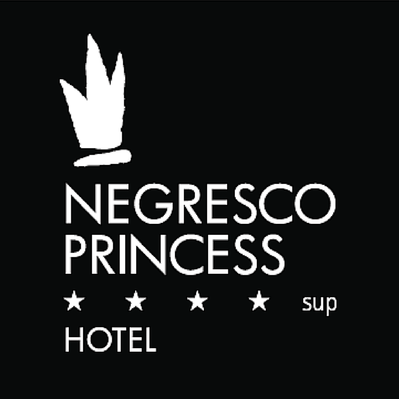 Image result for Hotel Negresco Princess