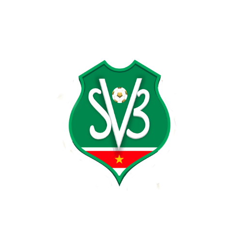 Image result for Surinamese Football Association